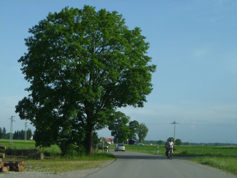 s146-0135 s146-0135