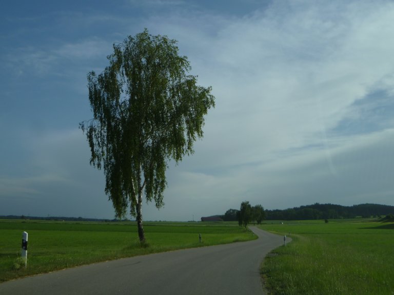 s146-0136 s146-0136