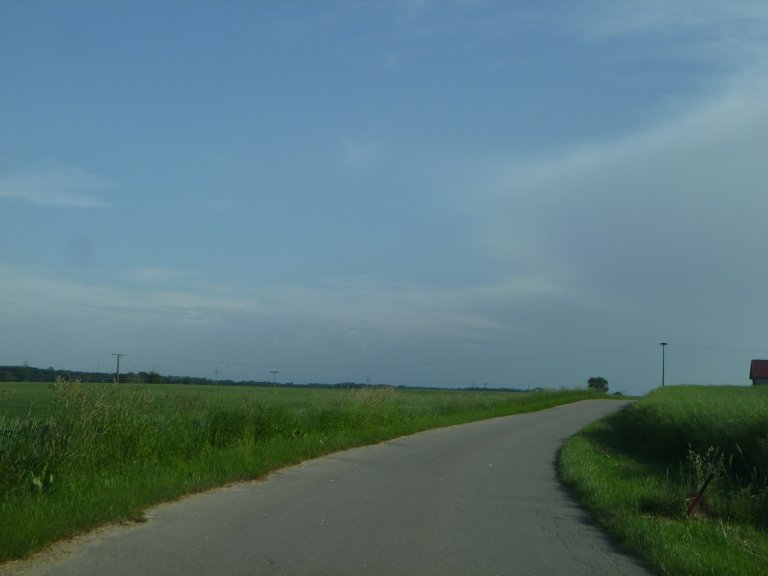 s146-0139 s146-0139