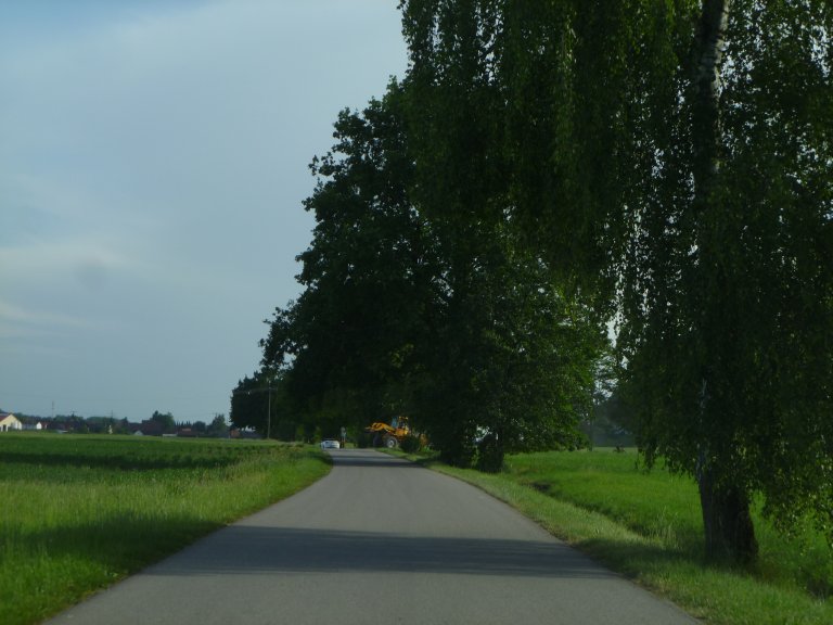s146-0145 s146-0145