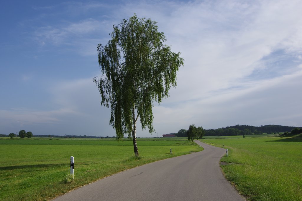s146-0166 s146-0166